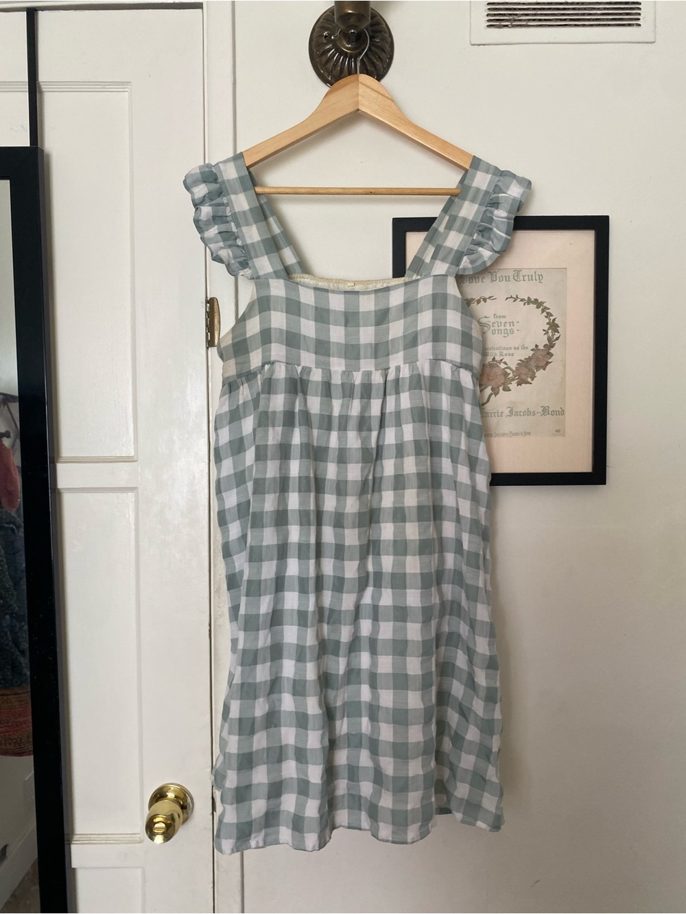 Gingham ruffle sleeve dress